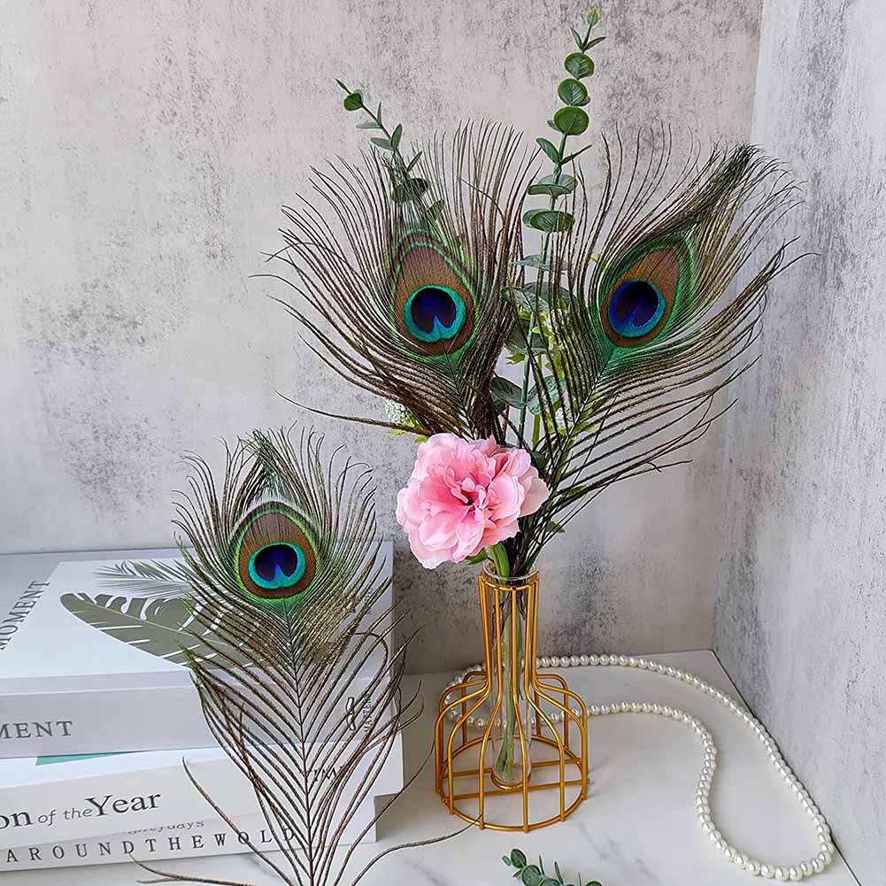 Natural Peacock Feathers: Set of 10 for Crafts & Home Decoration (25-30cm)