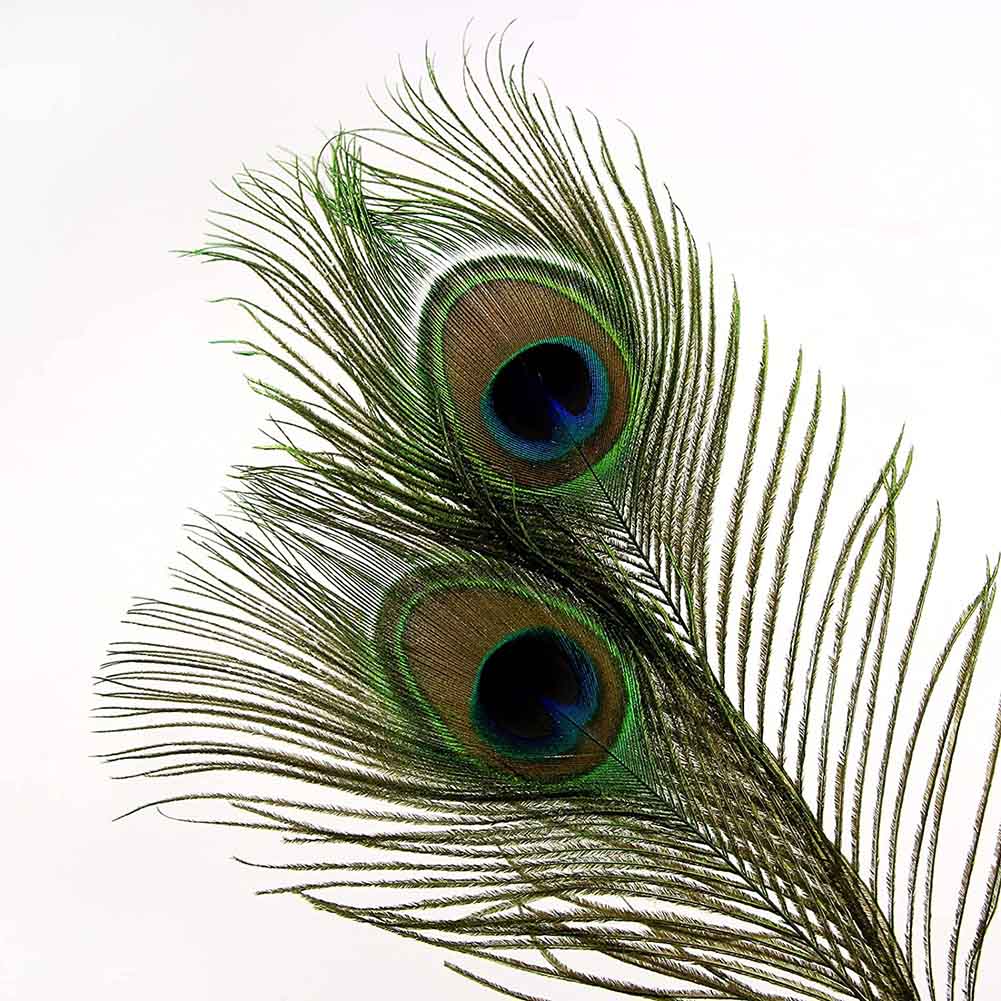 Natural Peacock Feathers: Set of 10 for Crafts & Home Decoration (25-30cm)