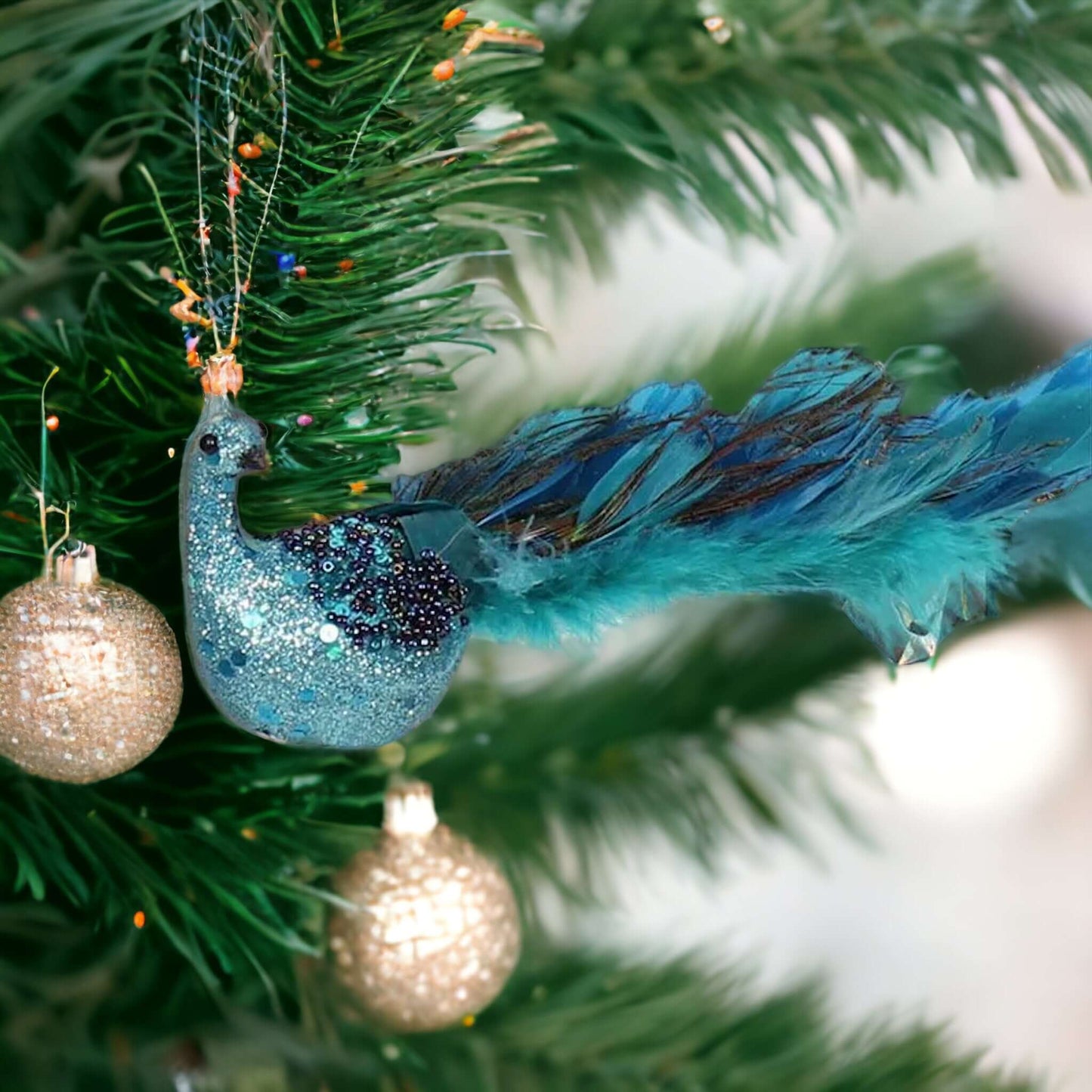 Votre paon de Noël : Le point fort de votre sapin de Noël !