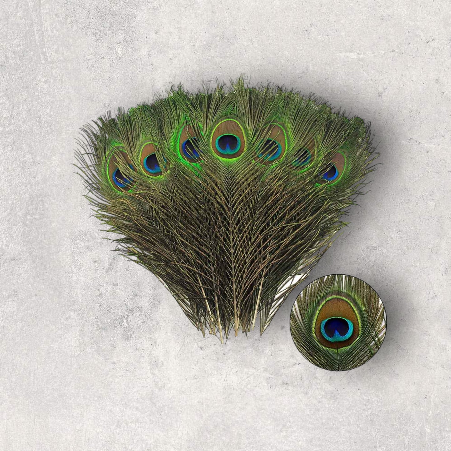 Natural Peacock Feathers: Set of 10 for Crafts & Home Decoration (25-30cm)