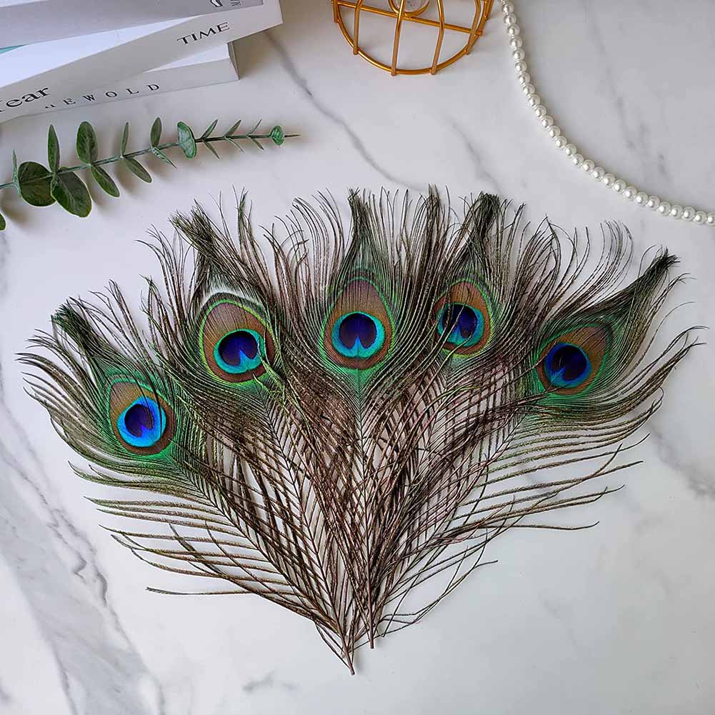 Natural Peacock Feathers: Set of 10 for Crafts &amp; Home Decoration (25-30cm)