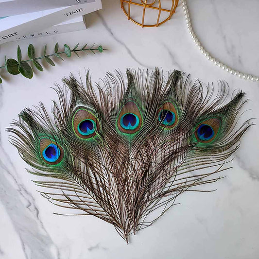 Natural Peacock Feathers: Set of 10 for Crafts &amp; Home Decoration (25-30cm)